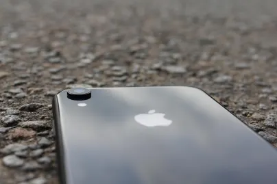 كازينو جنغل راجا تطبيق الهاتف المحمول